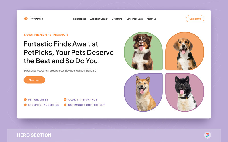 PetPicks - Pet Shop Hero Section Figma Template UI Element