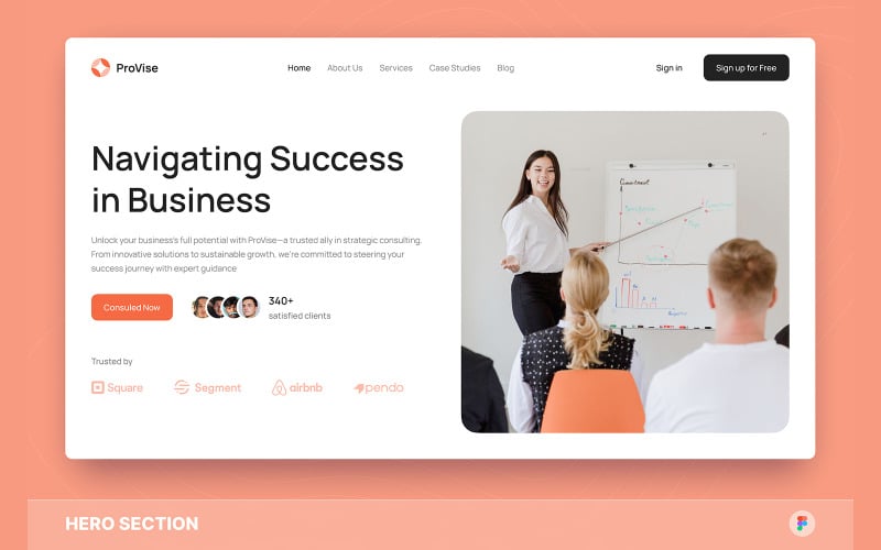 ProVise - Business Consulting Hero Section Figma Template UI Element