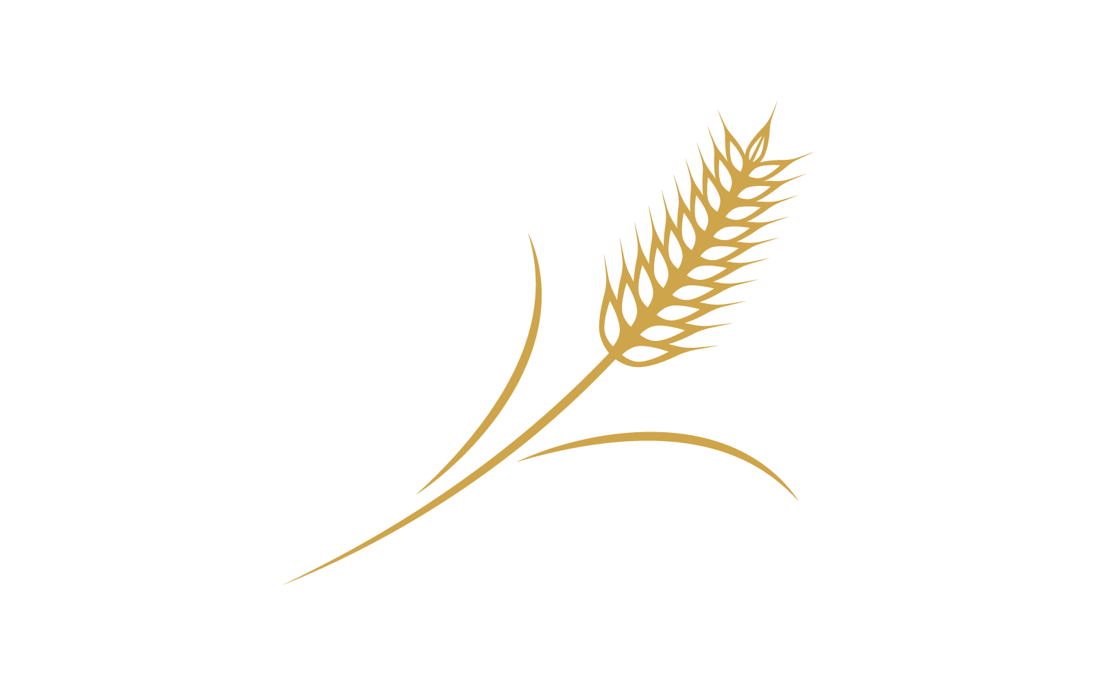 Wheat Logo template vector design illustration Logo Template