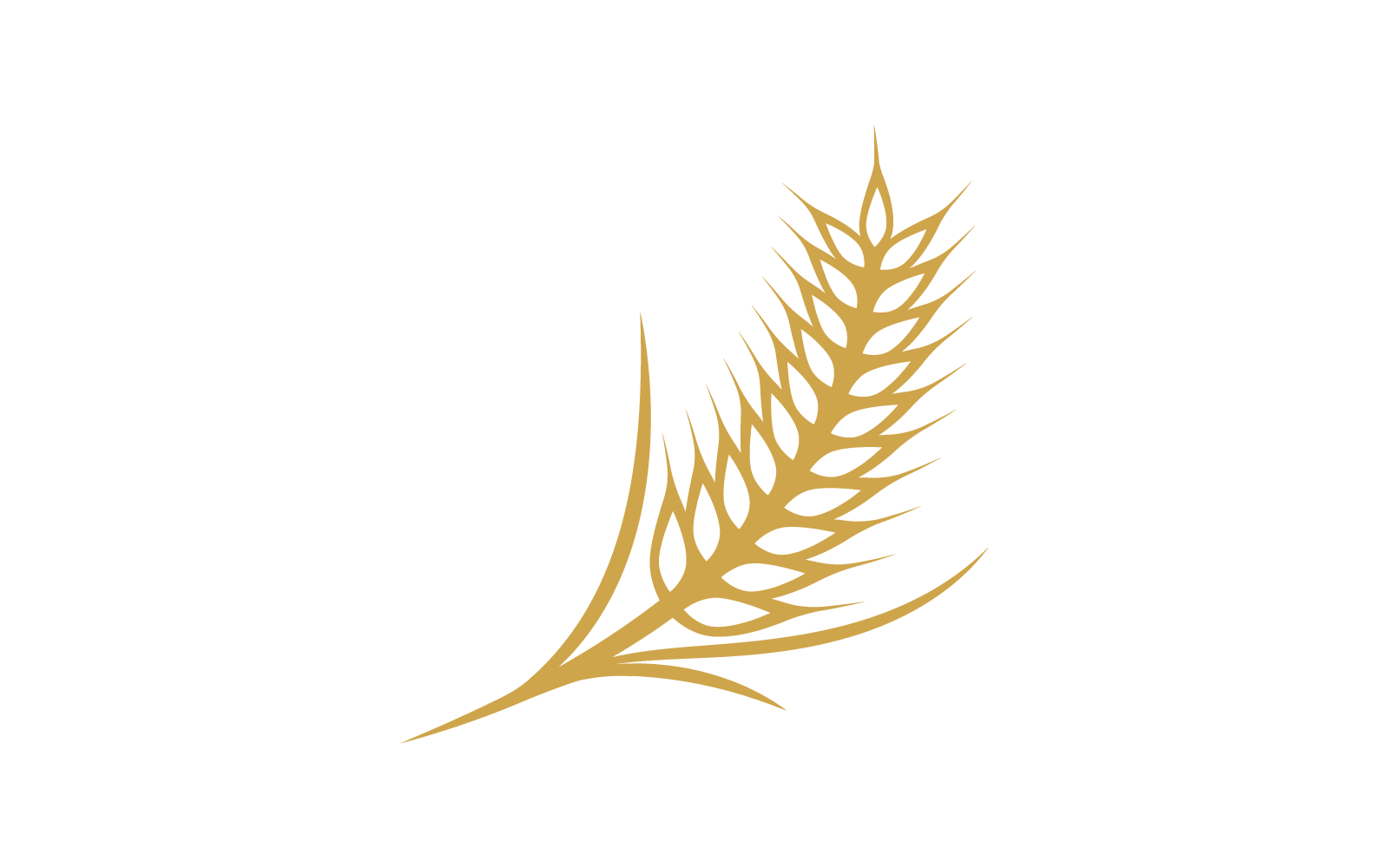 Wheat Logo vector illustration design