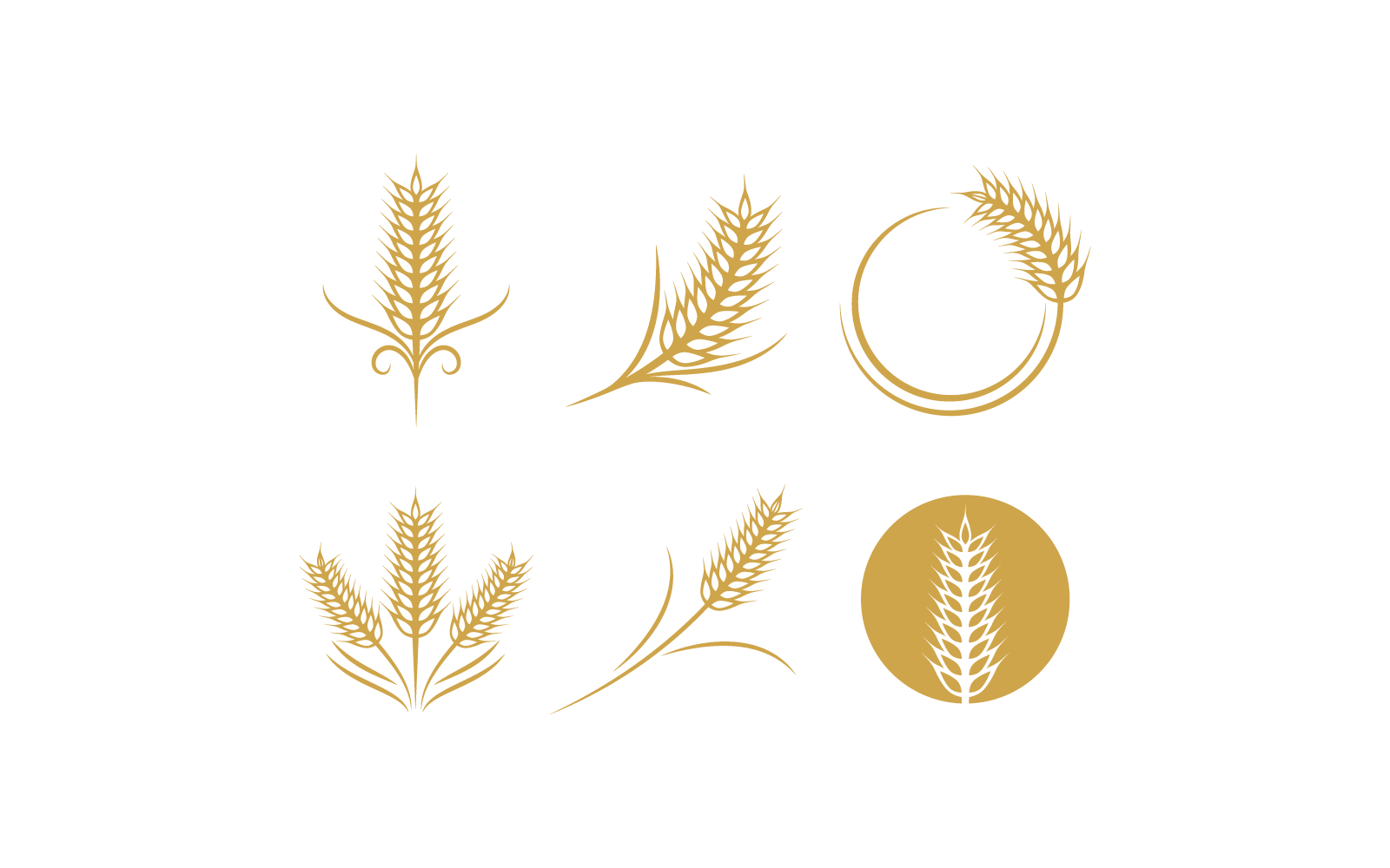 Wheat Logo vector illustration flat design Logo Template