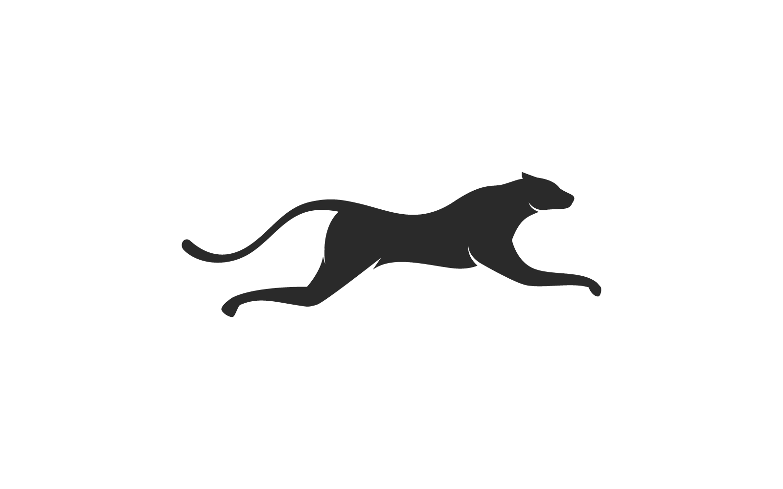 Cheetah logo illustration vector design template