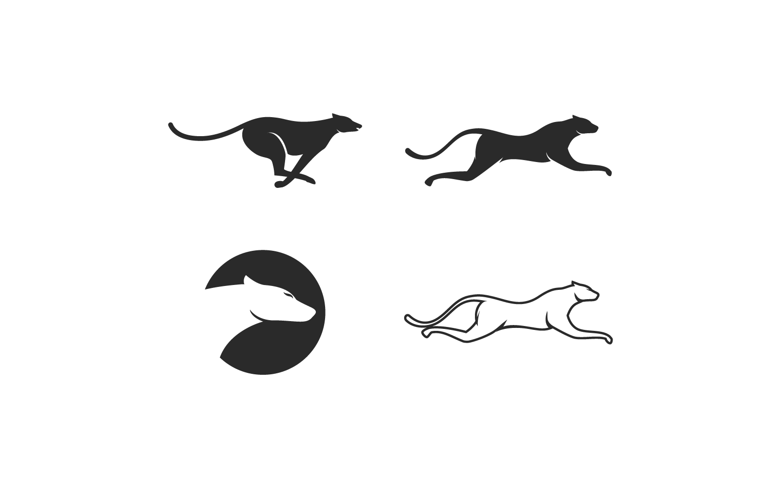 Cheetah logotyp illustration vektor mall platt design
