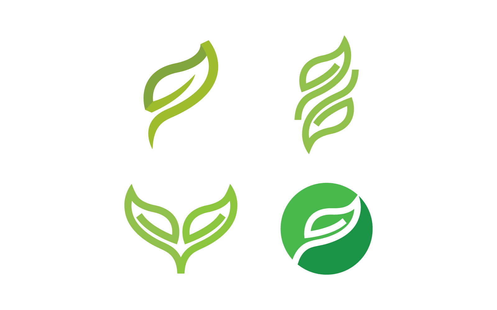 Green leaf design illustration nature logo flat design