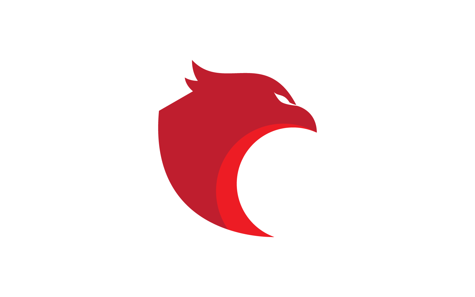 Falcon eagle design vector illustration template Logo Template