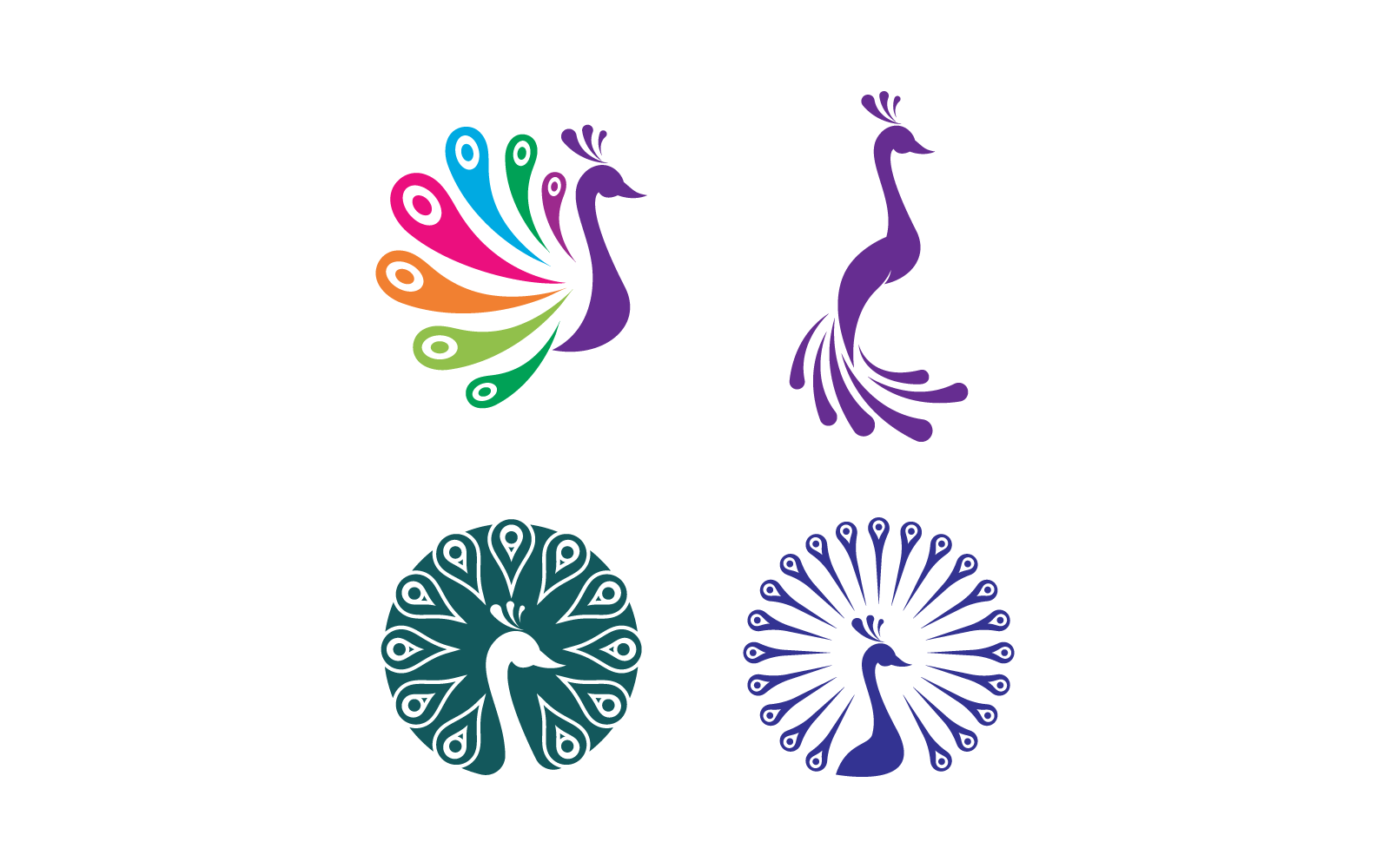Peacock design vector logo illustration template