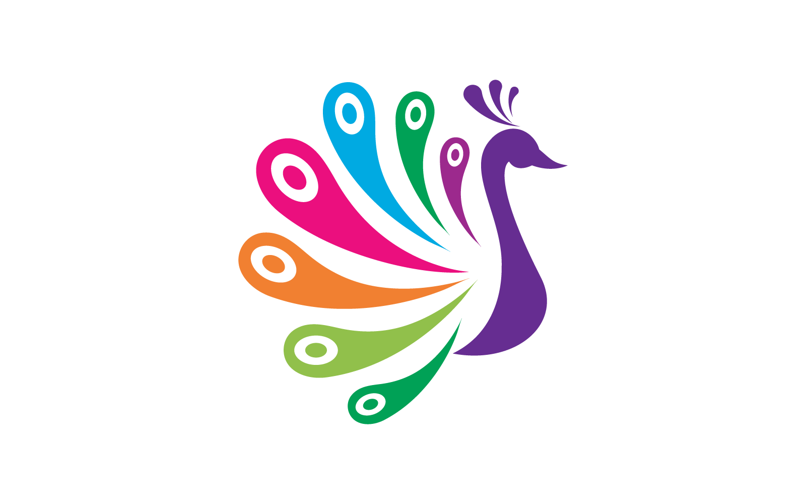 Peacock logo illustration vector flat design template
