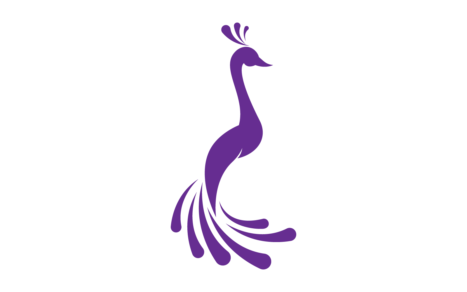 Peacock logo vector flat design template