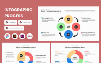 Circle Process Infographic Template V1