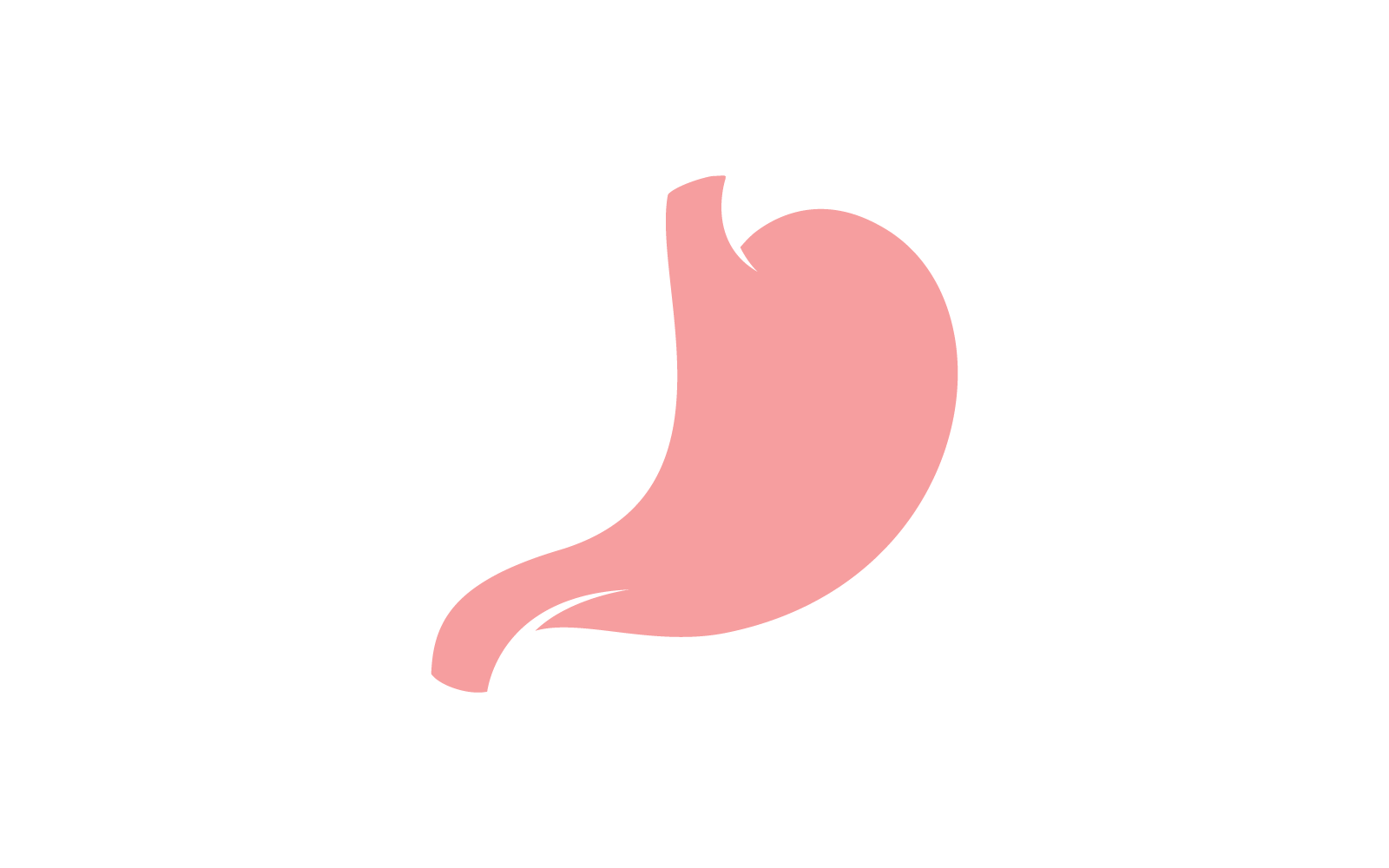 Stomach logo icon illustration vector design template