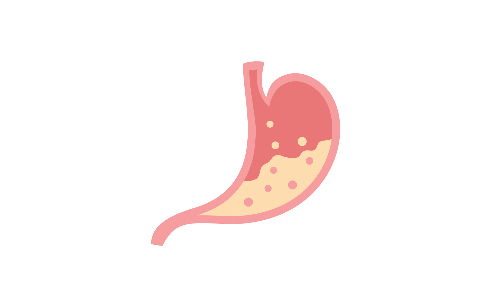 Stomach logo icon illustration vector template flat design