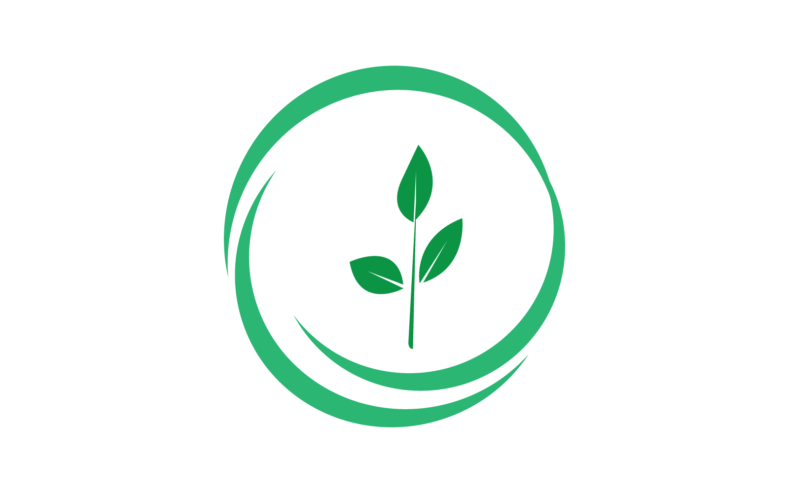 Green leaf illustration nature logo template design
