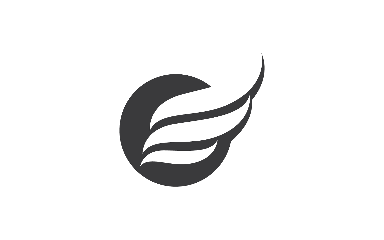 Wing logo vector illustration template