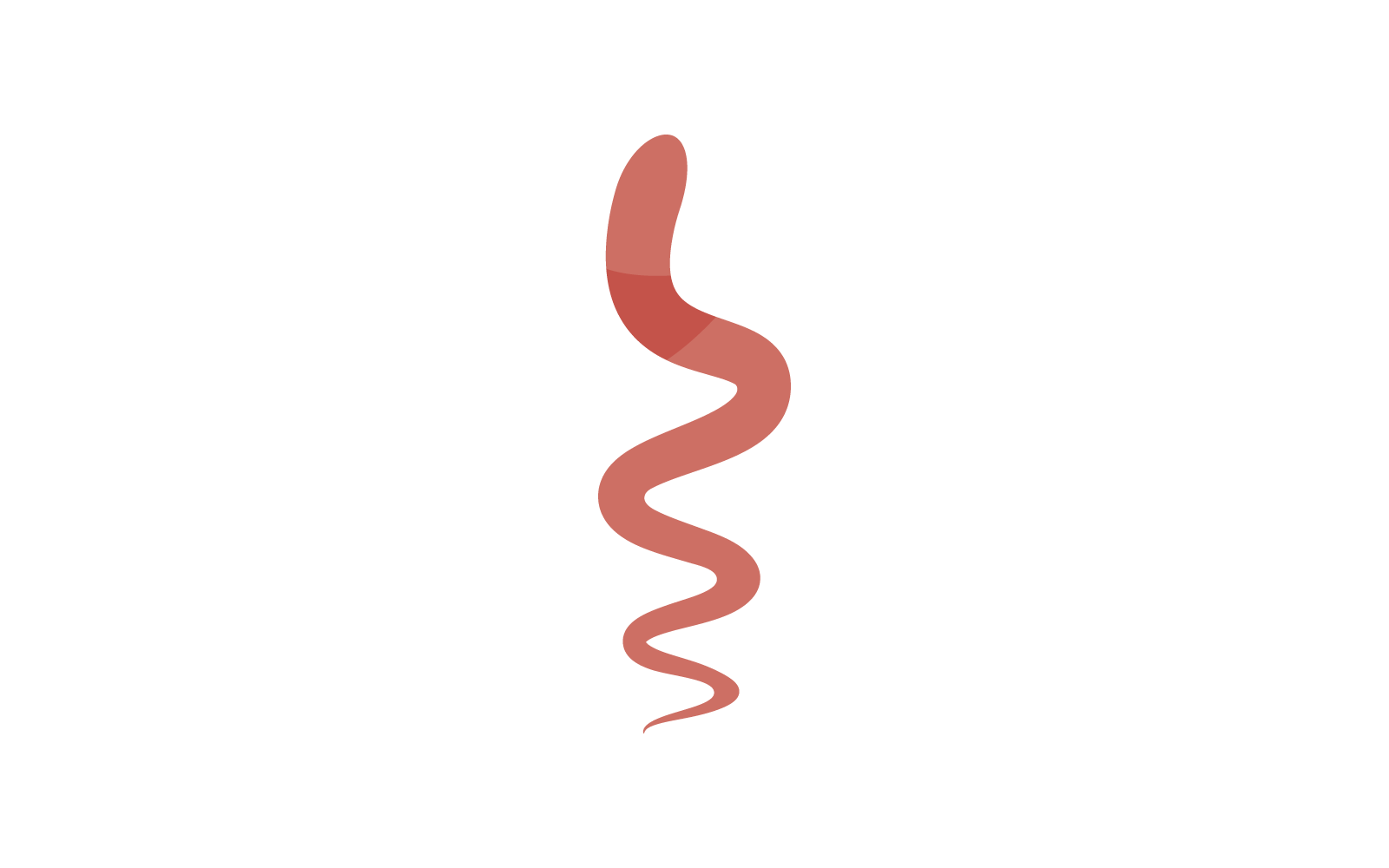 Worm logo vector illustration template