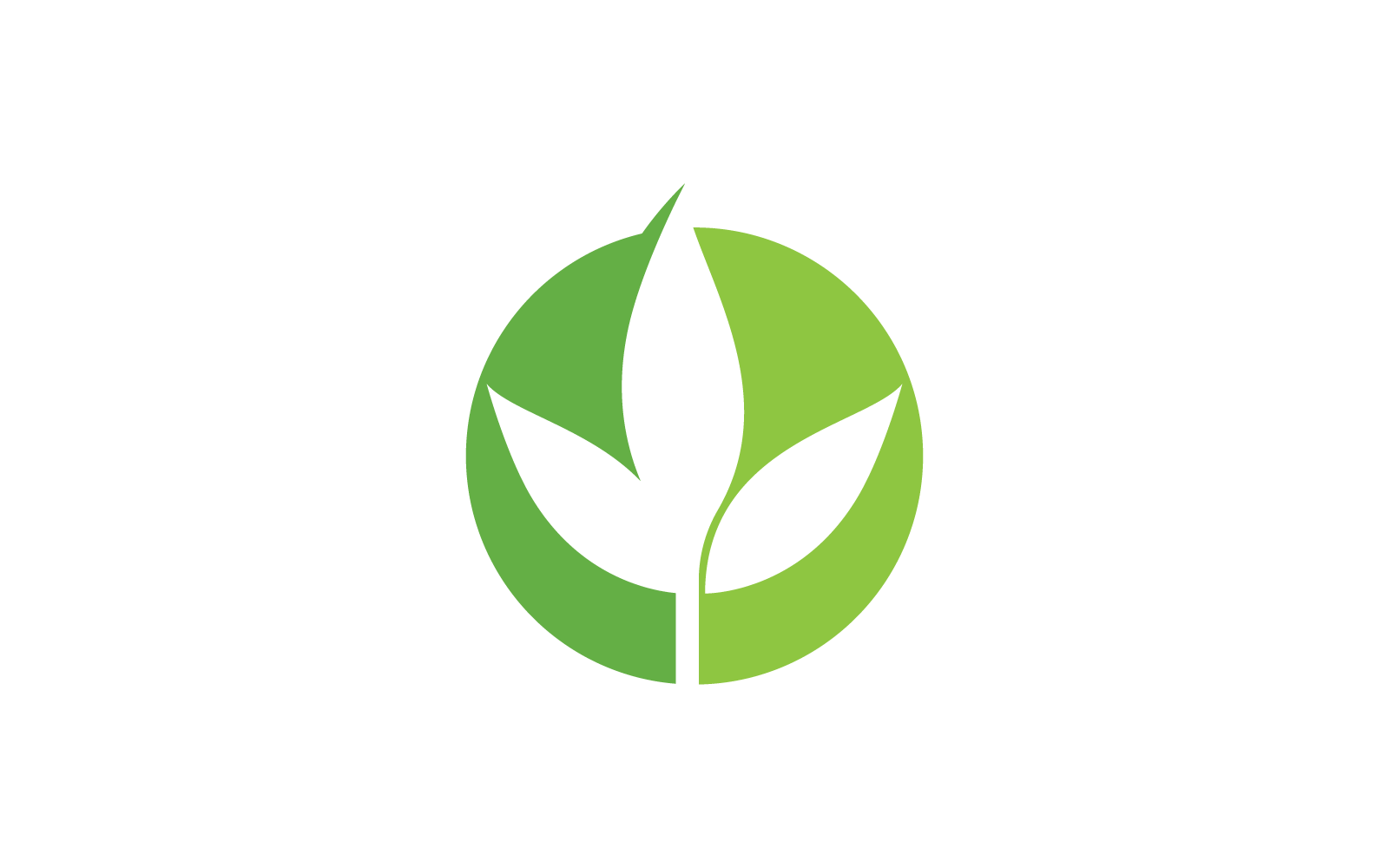 Eco green leaf illustration logo flat design