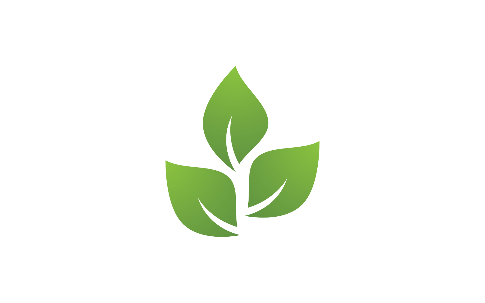 Eco green leaf illustration logo nature template