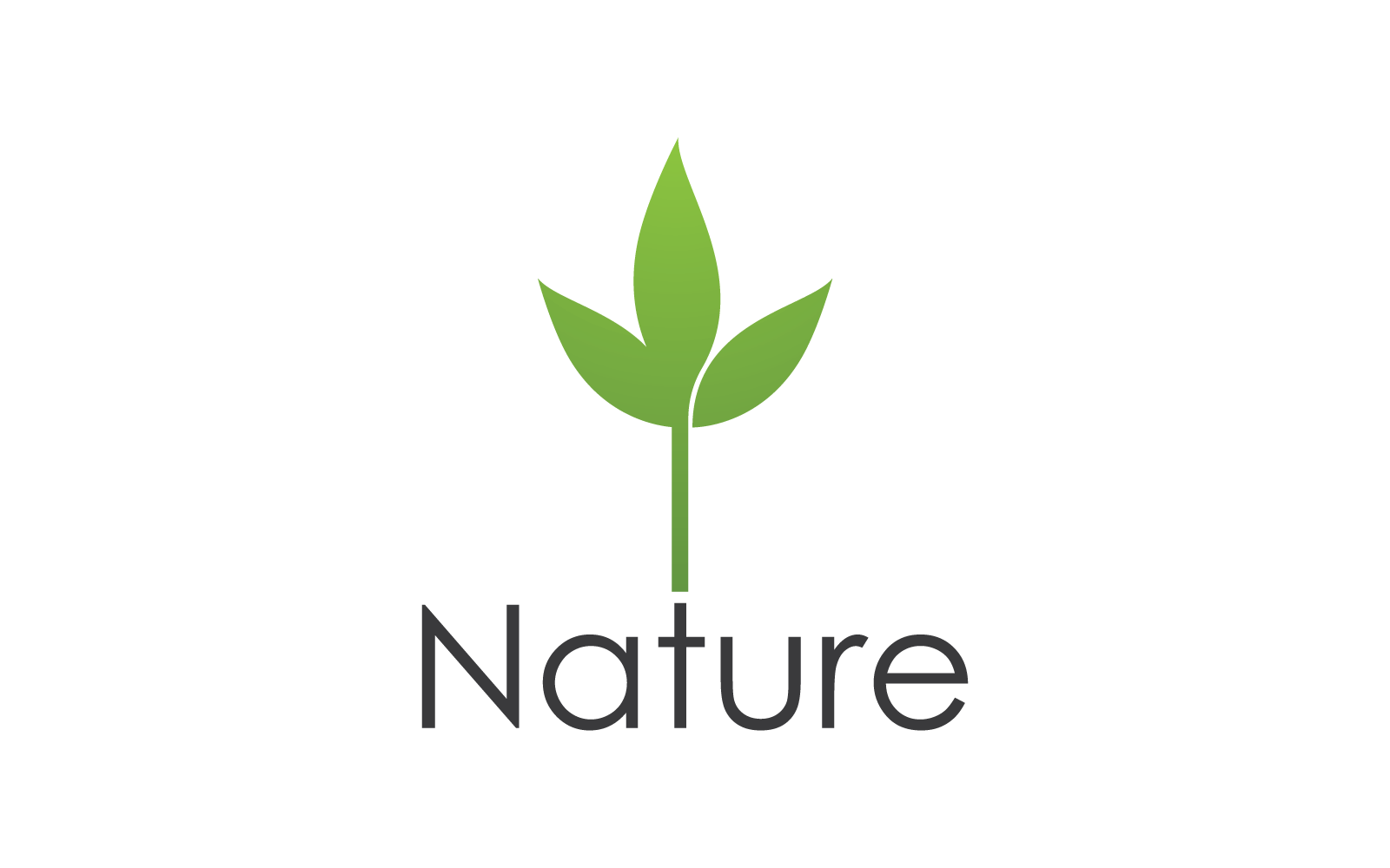 Eco green leaf illustration nature logo design
