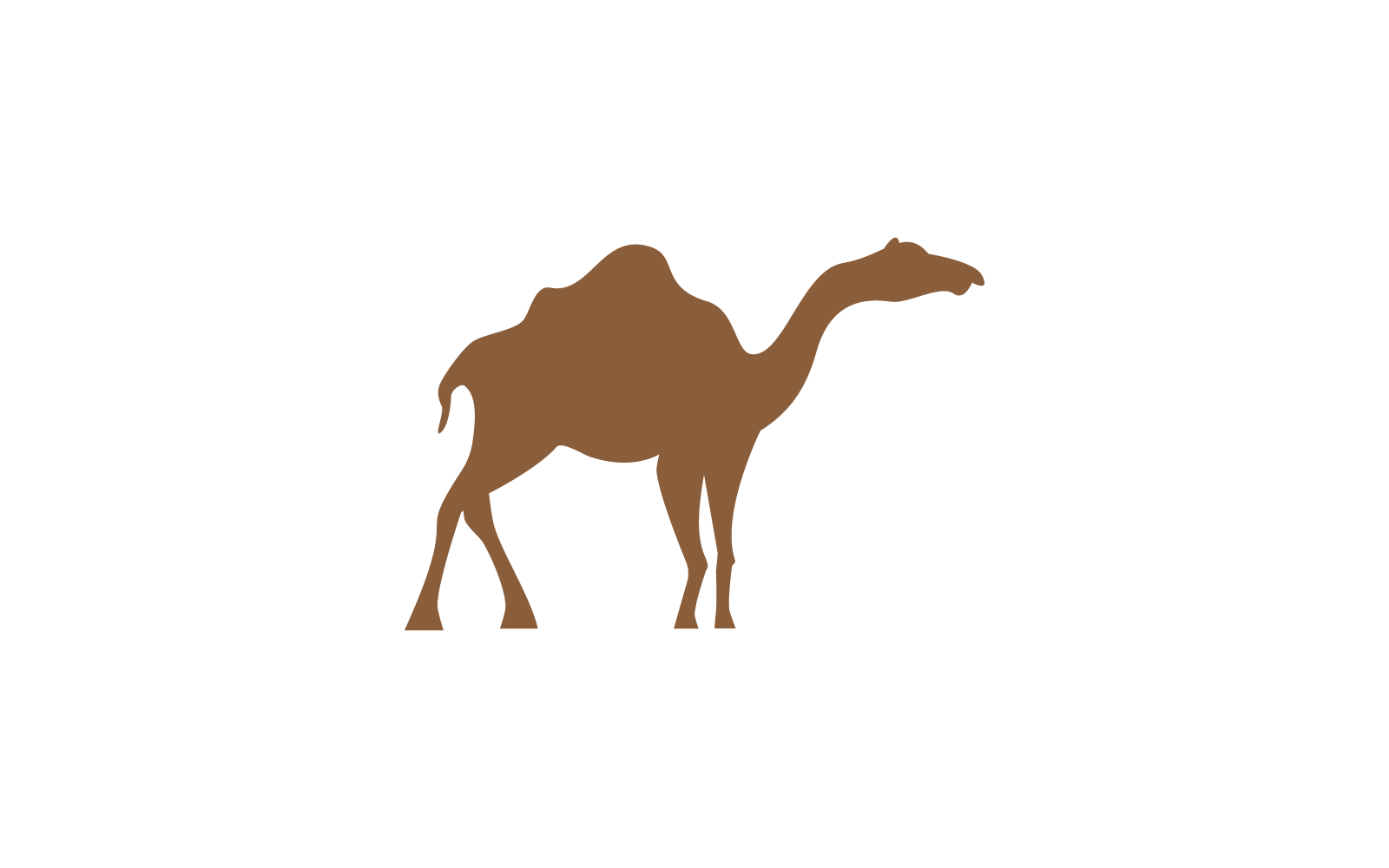 Camel illustration logo icon vector flat design Logo Template
