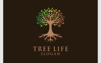 Tree Life Root Natural Logo
