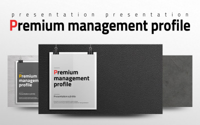 Modèle PowerPoint de profil de gestion Premium