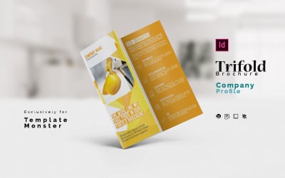 Indesign huisstijl driebladige brochure