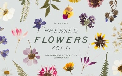 Макет продукта Pressed Dry Flowers &amp;amp; Herbs Vol.2