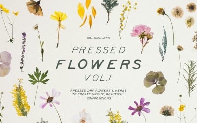 Maquete do produto Pressed Dry Flowers &amp;amp; Herbs Vol.1