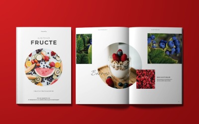 Modèle de magazine de photographie de fruits
