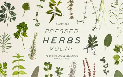 Pressed Dry Herbs Vol.3 产品模型