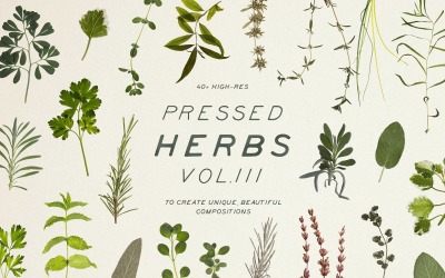 Pressed Dry Herbs Vol.3 product mockup