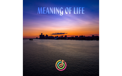 Meaning Of Life - Audio Track