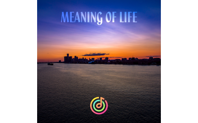 Meaning Of Life - Ljudspår