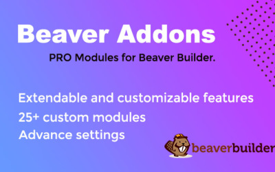 bAddons voor Beaver page Builder WordPress Plugin