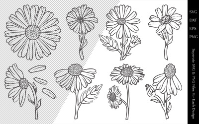 Ilustrace "Daisy Flower Outline Bundle Drawings" #105624