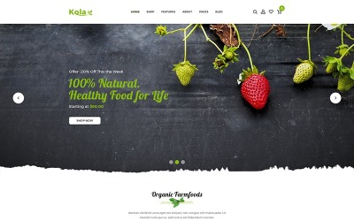 Shopify Theme namens "Kalo - Health & Organic" #110969