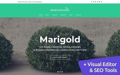 Marigold - Plantilla Moto CMS 3 de Servicios de jardinería