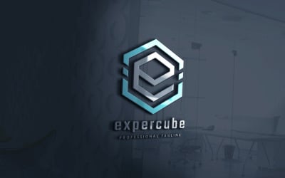 Expert Cube Logo Template