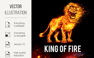 Lion in Flames Vector