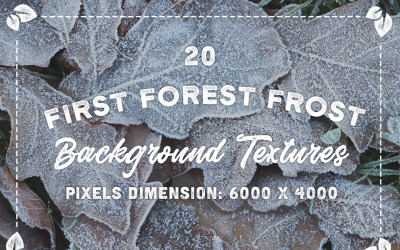 20 Original First Forest Frost Textures Background