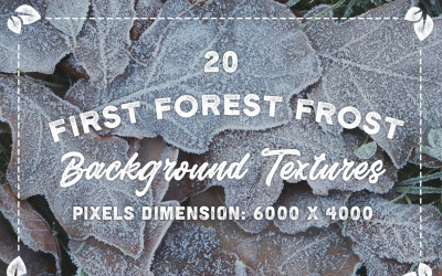 20 оригинальных текстур фона First Forest Frost