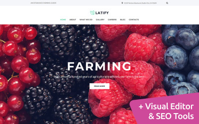 Latify - Шаблон Moto CMS 3 для частной фермы