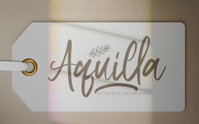 Aquilla - Carattere corsivo pennello