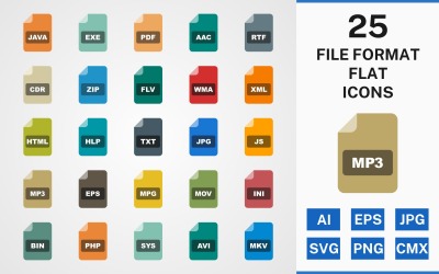 Ensemble d&amp;#39;icônes 25 FILE FORMAT FLAT PACK