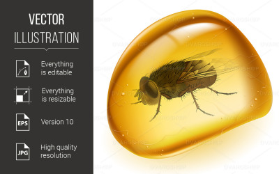 Realistic Amber - Vector Image