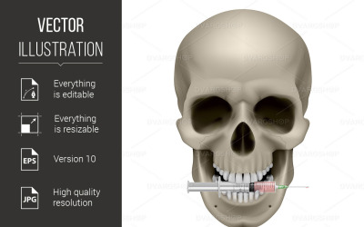 Realistic Skull with a Cigarette - Vector Image