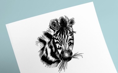African Zebra Sketch Illustration 118506
