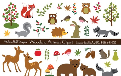 Woodland Animals Vector Clipart - Illustration