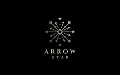 Arrow Star-logotypmall