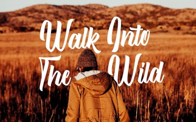 Modern Script Typeface Font