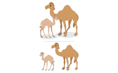 Camels - Illustration